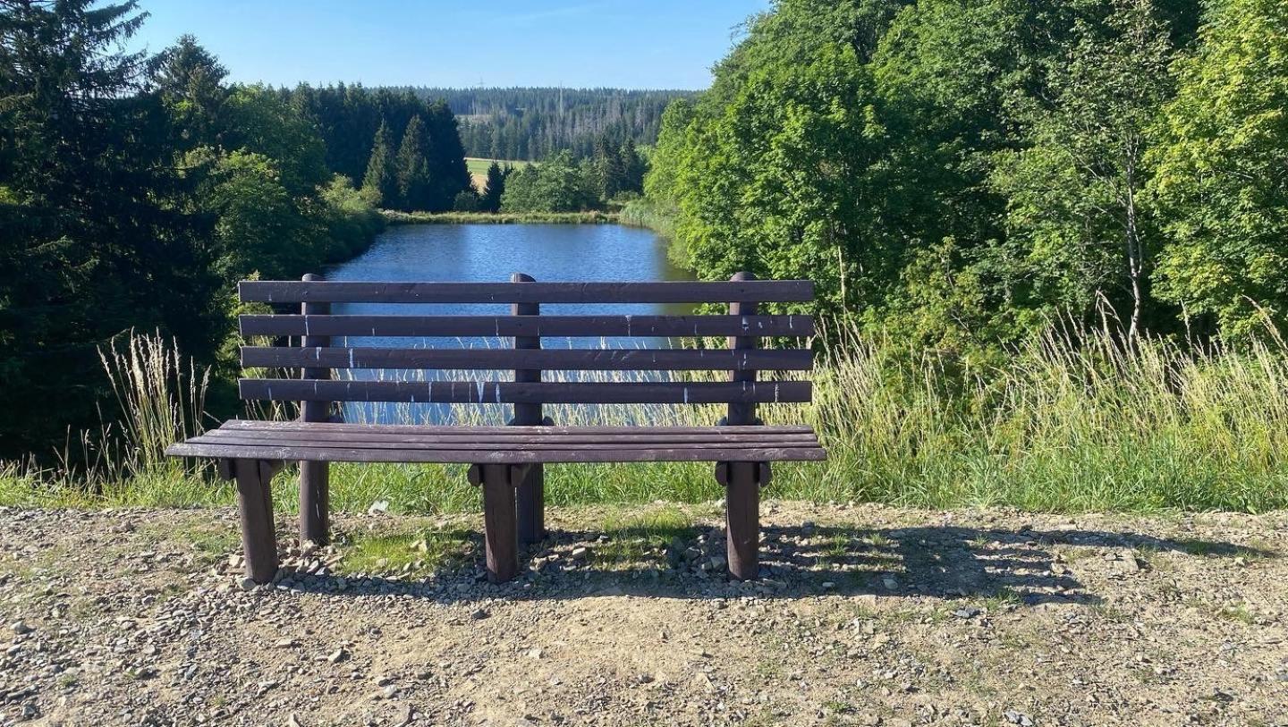 Ferienwohnung Hohensee 1.Og Clausthal-Zellerfeld Dış mekan fotoğraf