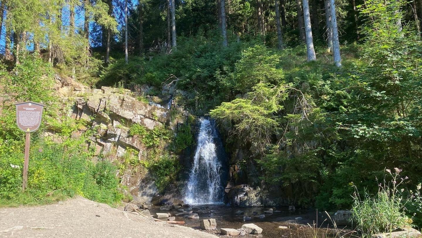 Ferienwohnung Hohensee 1.Og Clausthal-Zellerfeld Dış mekan fotoğraf